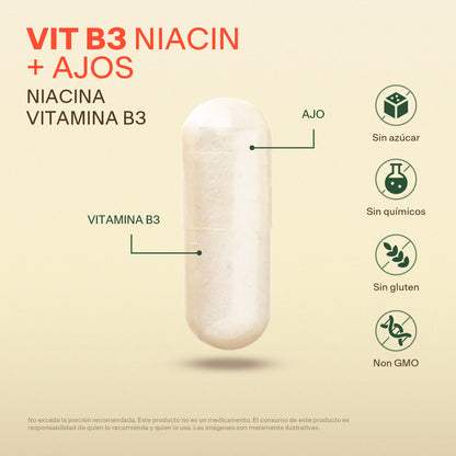 Niacina, Vitamina B3 en Cápsulas
