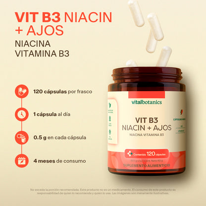 Niacina, Vitamina B3 en Cápsulas