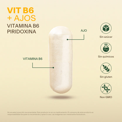 Vitamina B6, Piridoxina en Cápsulas