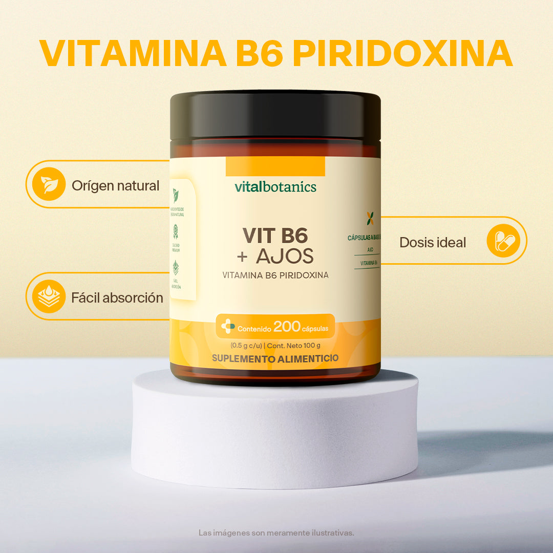 Vitamina B6, Piridoxina en Cápsulas