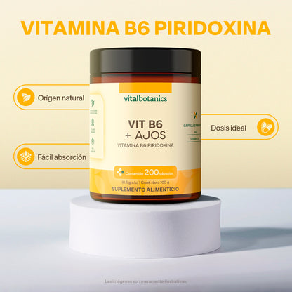 Vitamina B6, Piridoxina en Cápsulas