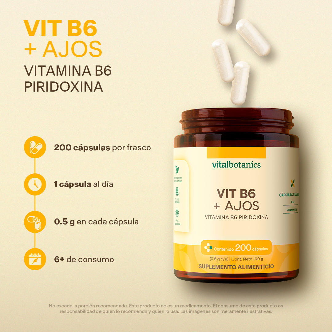 Vitamina B6, Piridoxina en Cápsulas