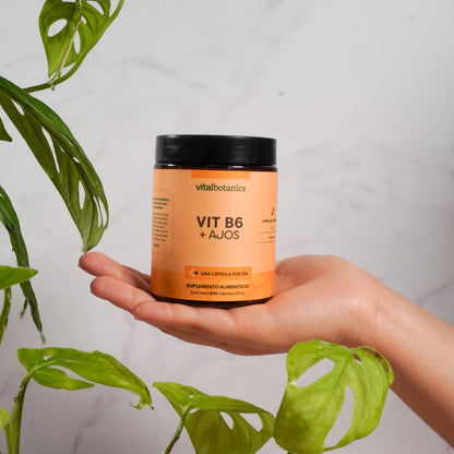 Vitamina B6, Piridoxina en Cápsulas