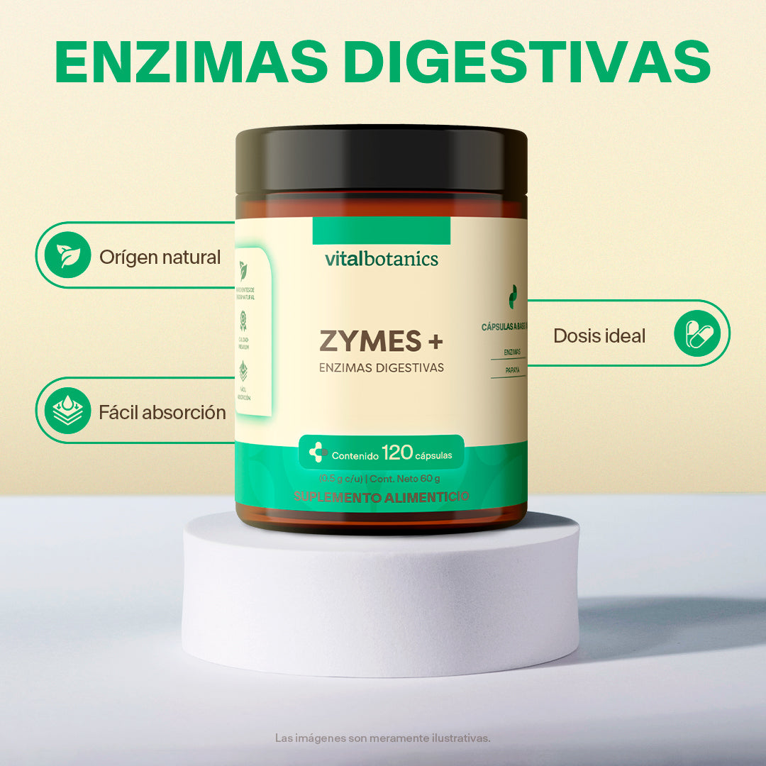 ZYMES+ Enzimas Digestivas | 120 Cápsulas – Digestión Sin Pesadez
