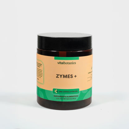 Enzimas Digestivas en Cápsulas