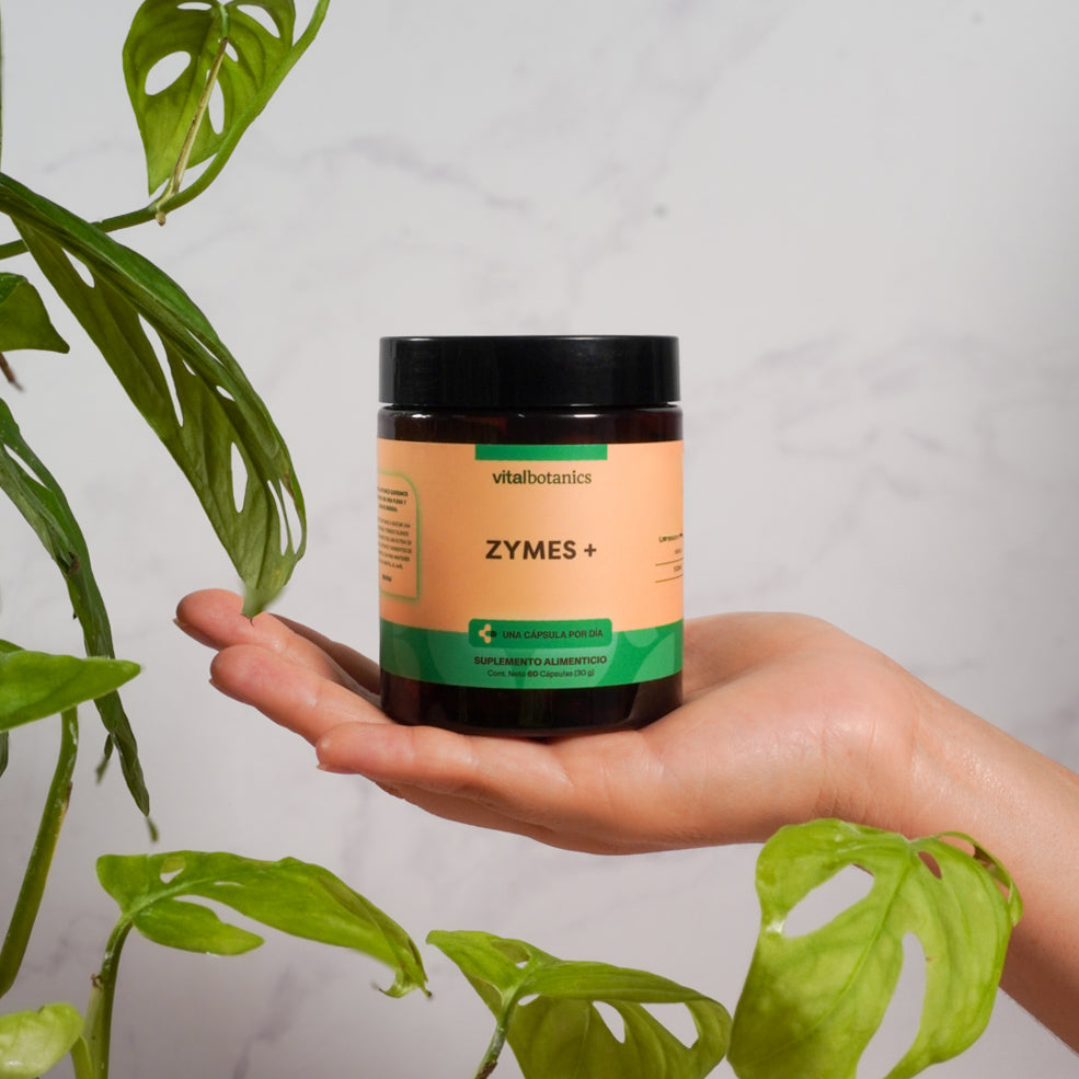 Enzimas Digestivas en Cápsulas